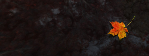 436689 (a): :3200x1200
